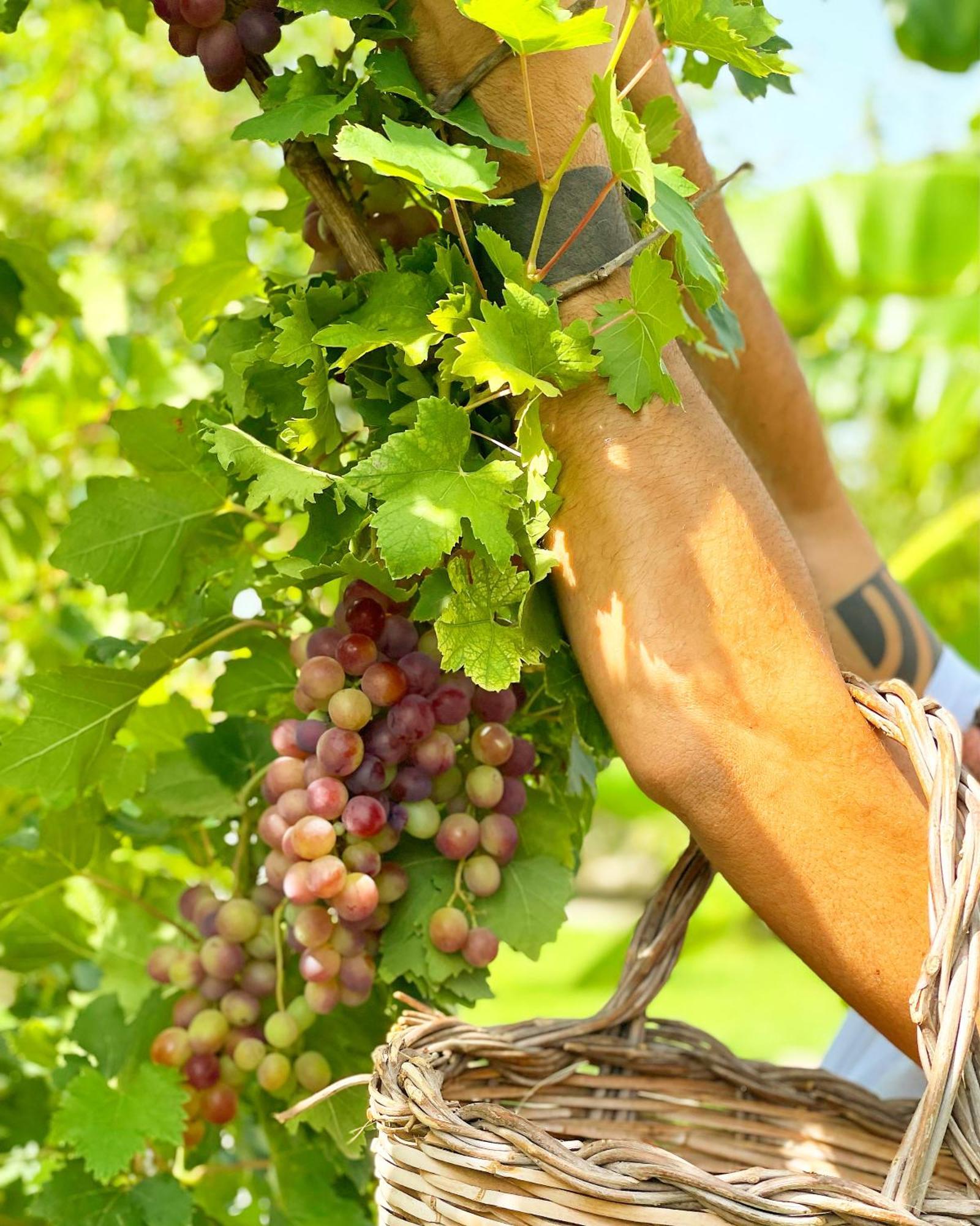 Masseria Vittoria Acaya Zewnętrze zdjęcie